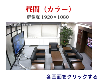 AP-P20FHIR【HD-SDI 解像度1920×1080】で撮影した日中映像のキャプチャー静止画像