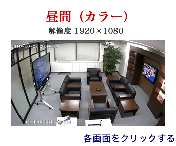 AP-P90FHIR【HD-SDI 解像度1920×1080】で撮影した日中映像のキャプチャー静止画像