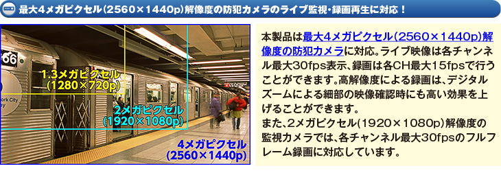 最大4メガピクセル(2560×1440p)解像度の防犯カメラのライブ監視・録画再生に対応!