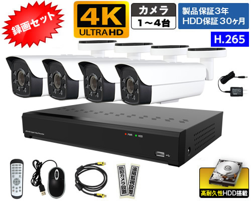 B860CV_NS4録画セット