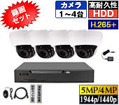 D520RX_4SG