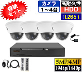 D55AX_4SG