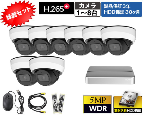 P530NE-KE8録画セット