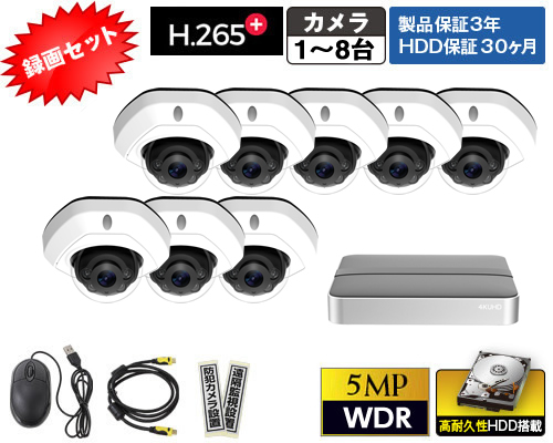 P530RE-KE8録画セット
