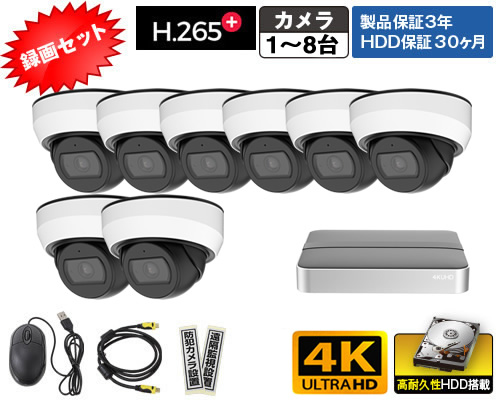 P830NE-KE8録画セット